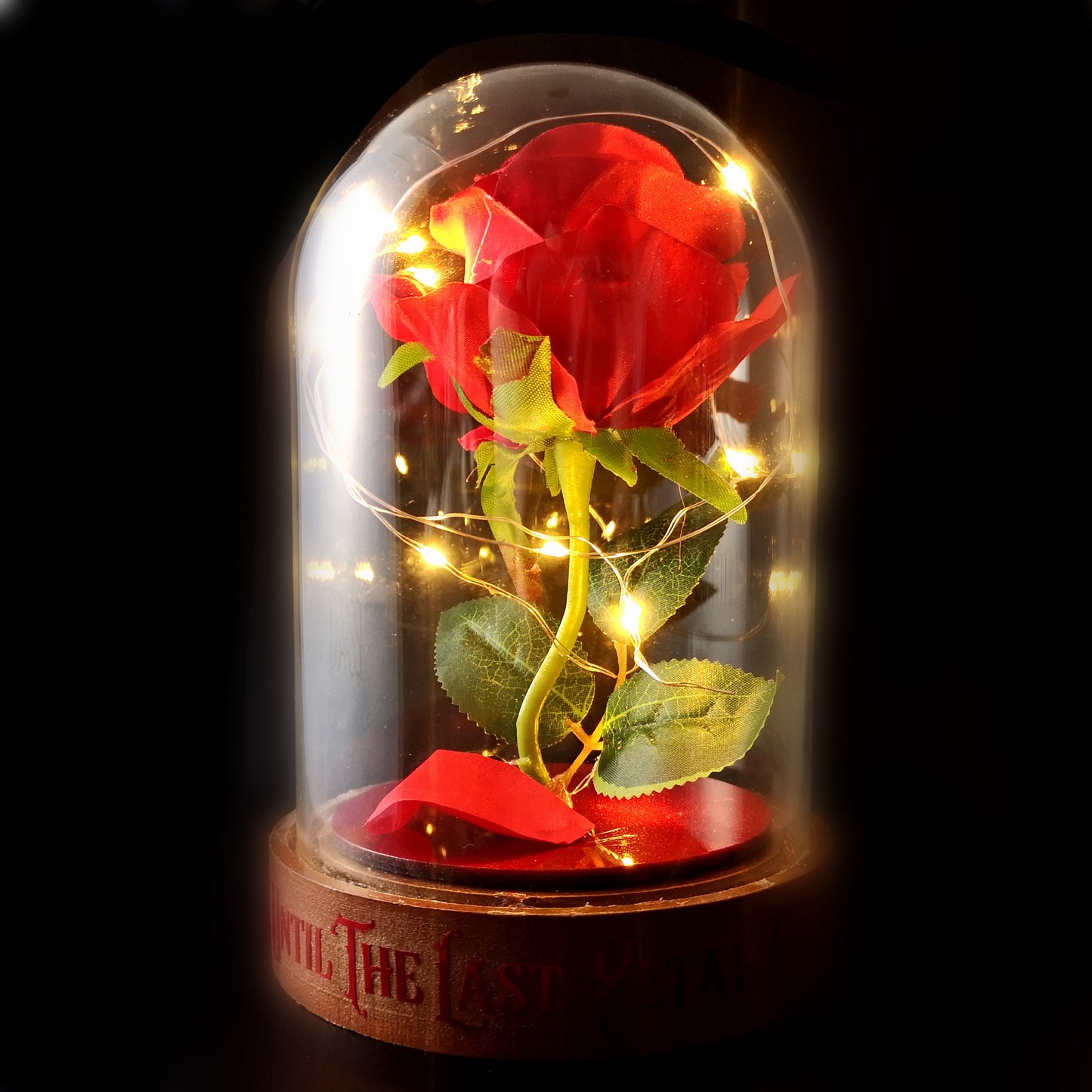 Enchanted Rose LED Dome