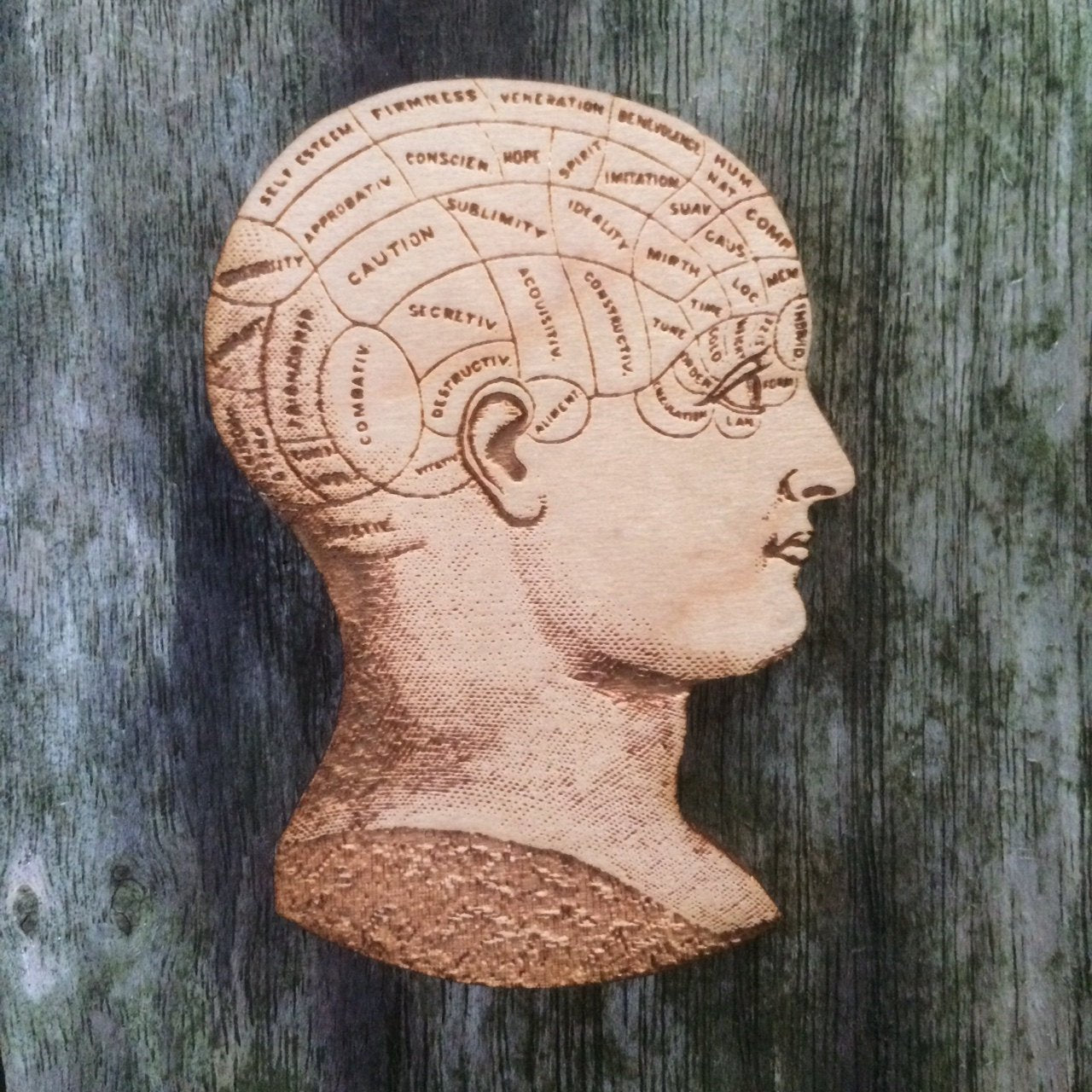Phrenology Head - Anatomical Jewellery - Wooden Brooch - ByCandlelight27