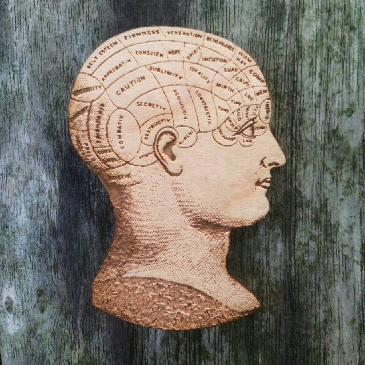 Hand Drawn Anatomical Skull, wood Cut, original illustration, Brooch - ByCandlelight27