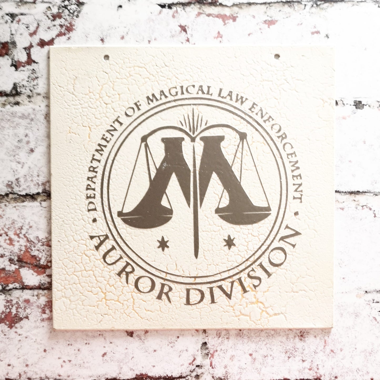 Aurora Metal Sign