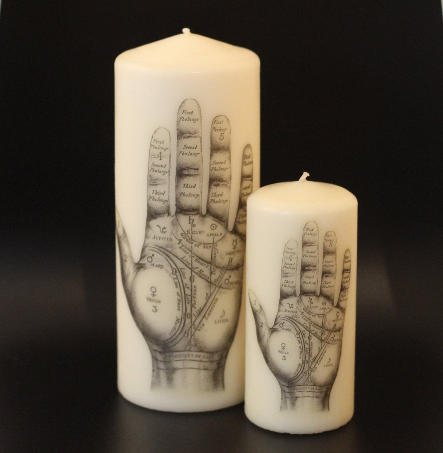 Anatomical Skeleton Hand - Pillar Candle - Anatomical Decor - ByCandlelight27