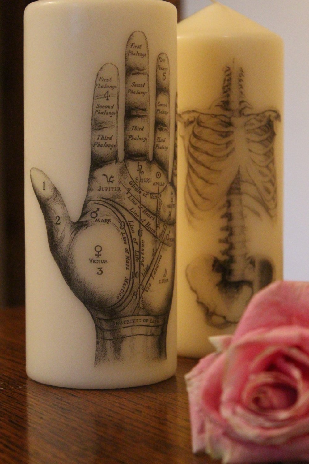 Skeleton - Pillar Candle - Anatomical Decor - ByCandlelight27