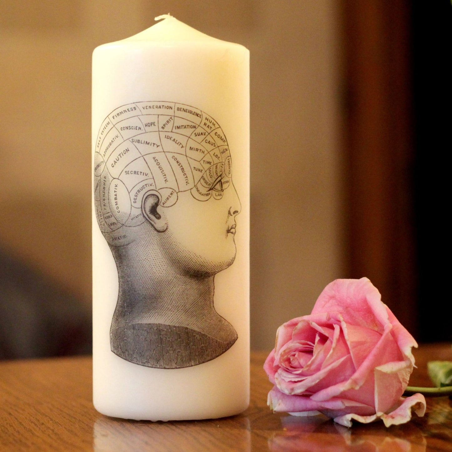 Phrenology Head - Pillar Candle - Anatomical Decor - ByCandlelight27