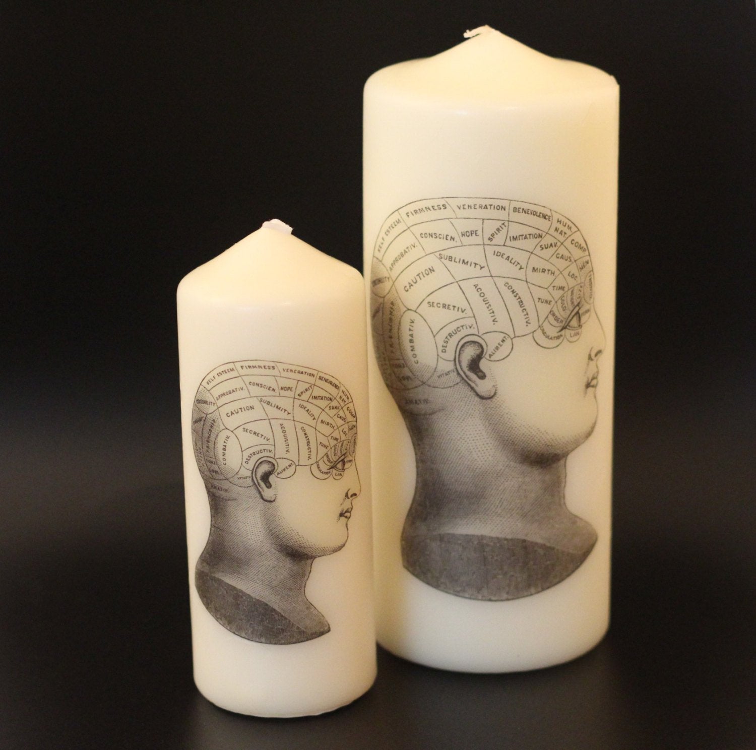 Phrenology Head - Pillar Candle - Anatomical Decor - ByCandlelight27