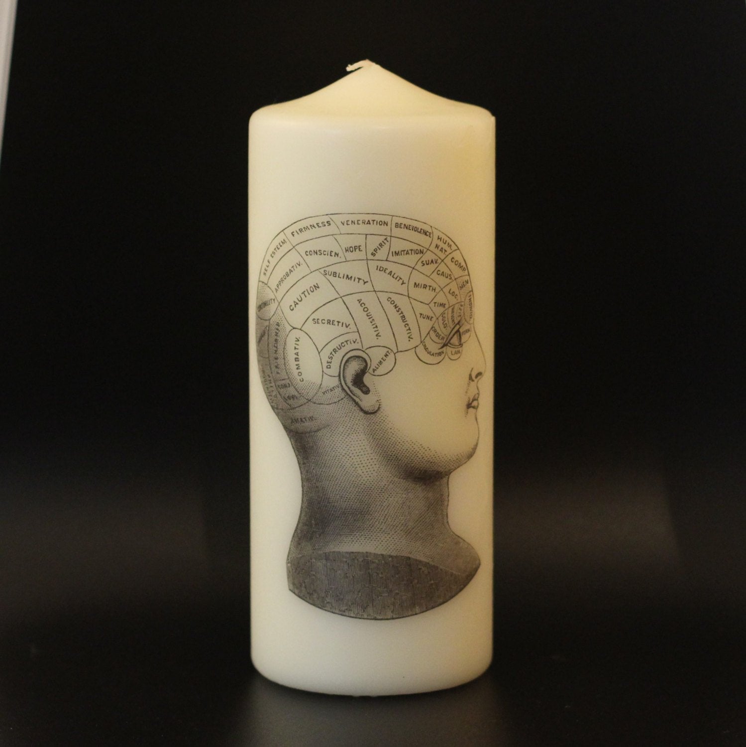 Phrenology Head - Pillar Candle - Anatomical Decor - ByCandlelight27