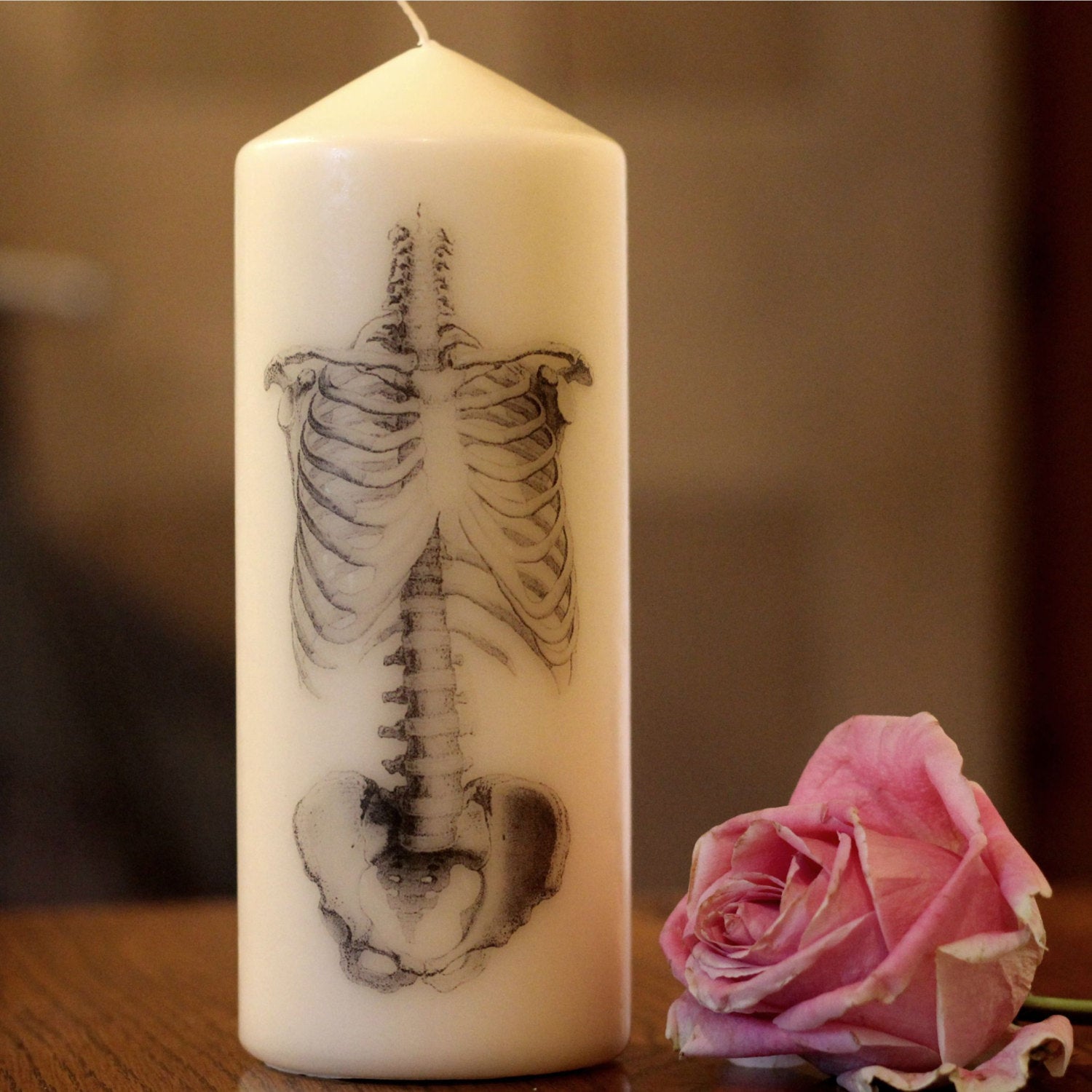 Skeleton - Pillar Candle - Anatomical Decor - ByCandlelight27