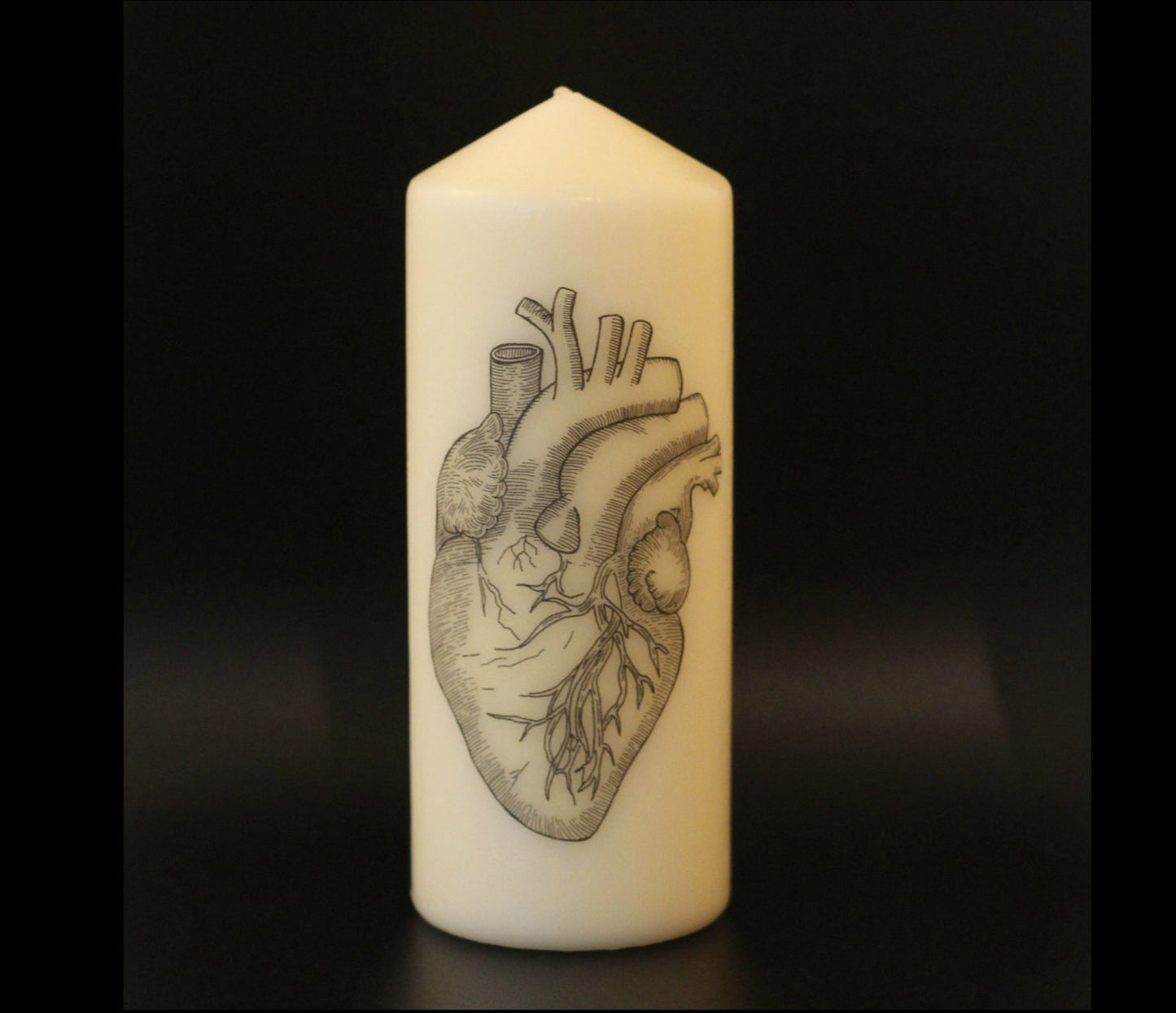 Anatomical Heart - Pillar Candle - Anatomical Decor - ByCandlelight27