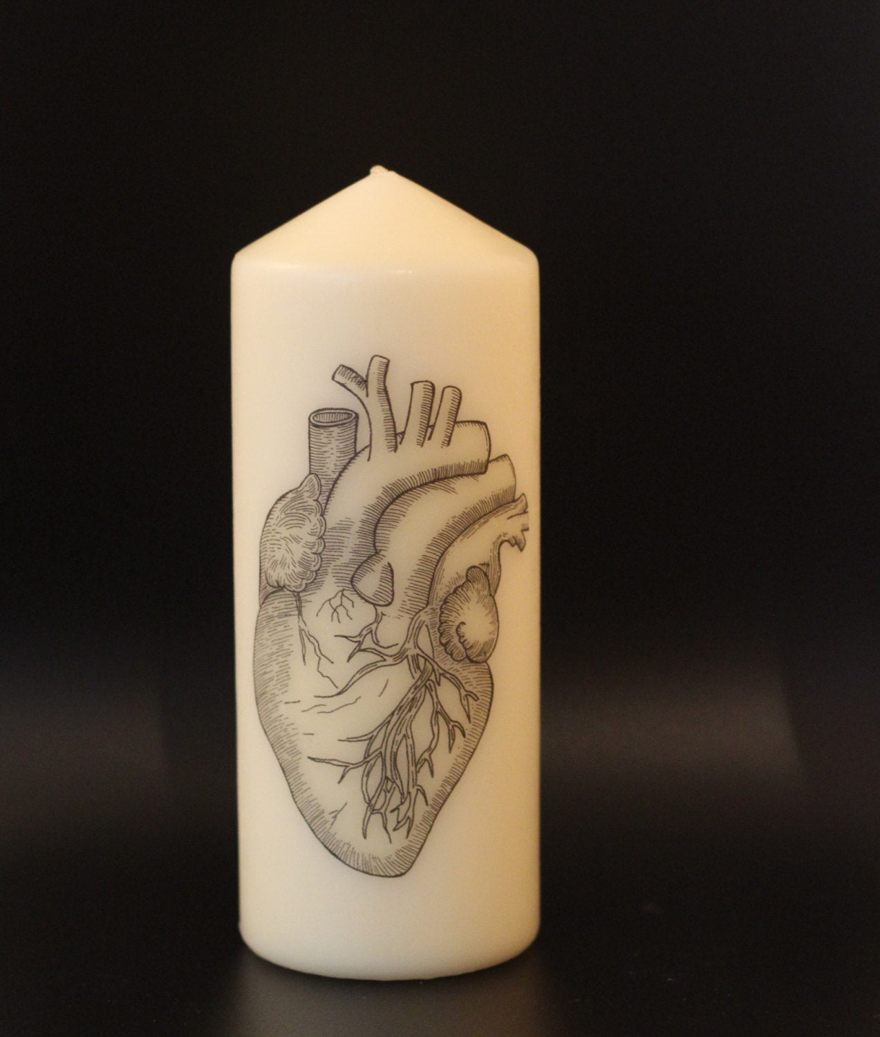 Anatomical Heart - Pillar Candle - Anatomical Decor - ByCandlelight27