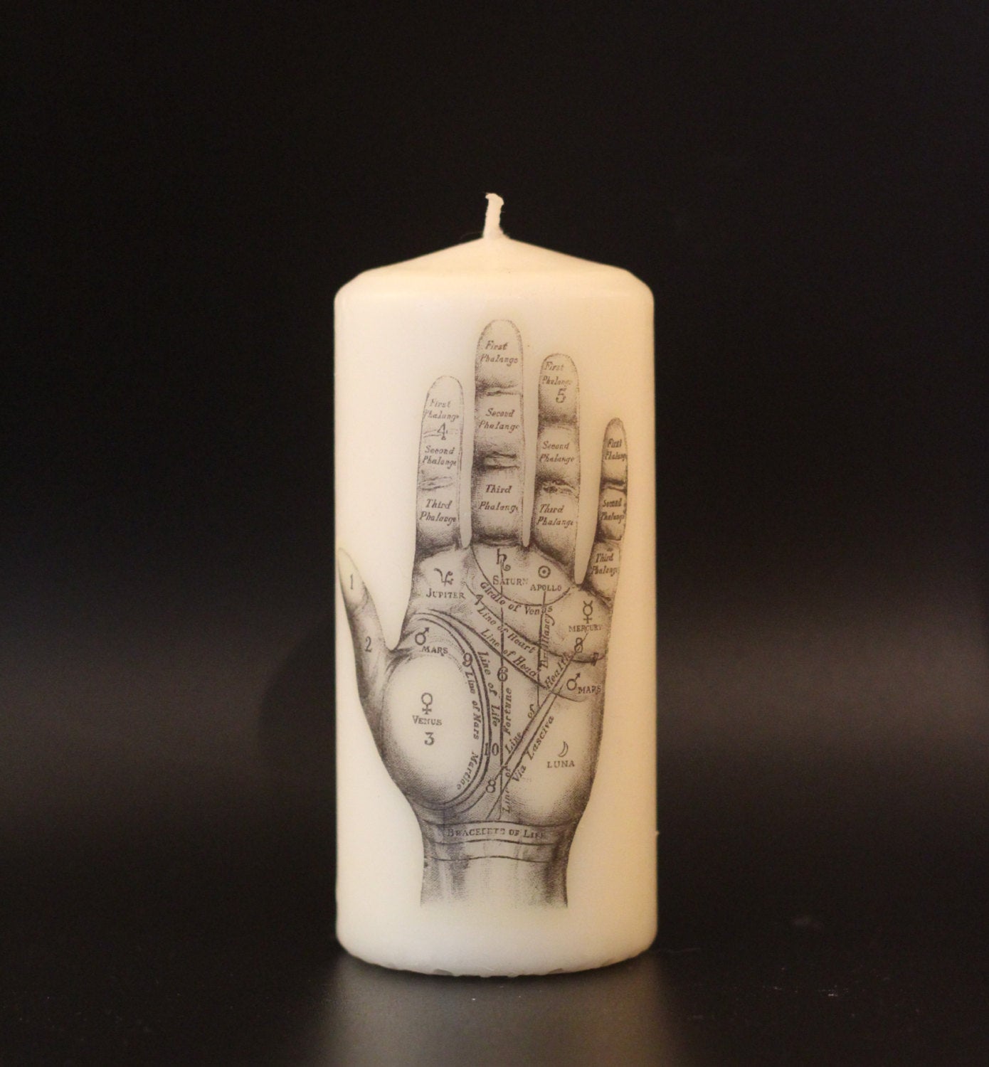 Palmistry Hand - Pillar Candle - Anatomical Decor - ByCandlelight27