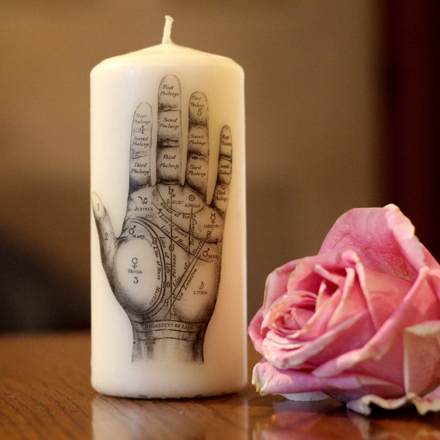 Palmistry Hand - Pillar Candle - Anatomical Decor - ByCandlelight27