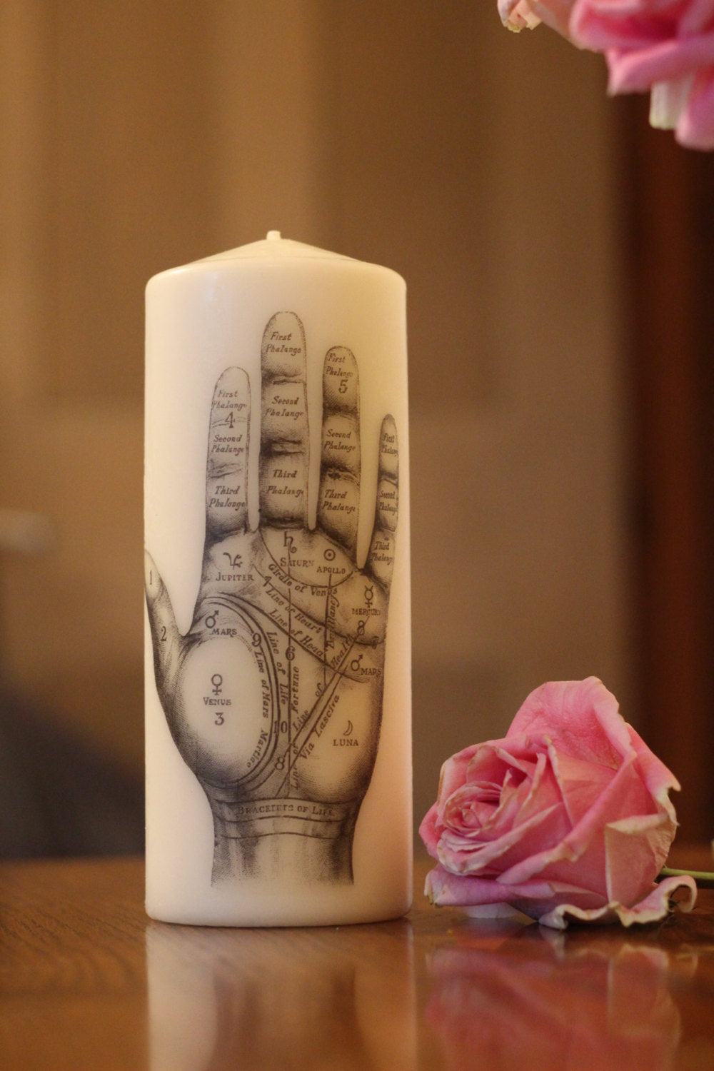 Palmistry Hand - Pillar Candle - Anatomical Decor - ByCandlelight27