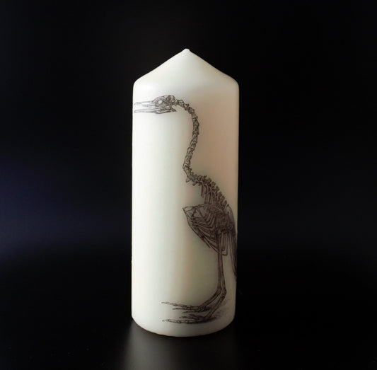 Anatomical Bird Skeleton  - Pillar Candle - Anatomical Decor - ByCandlelight27