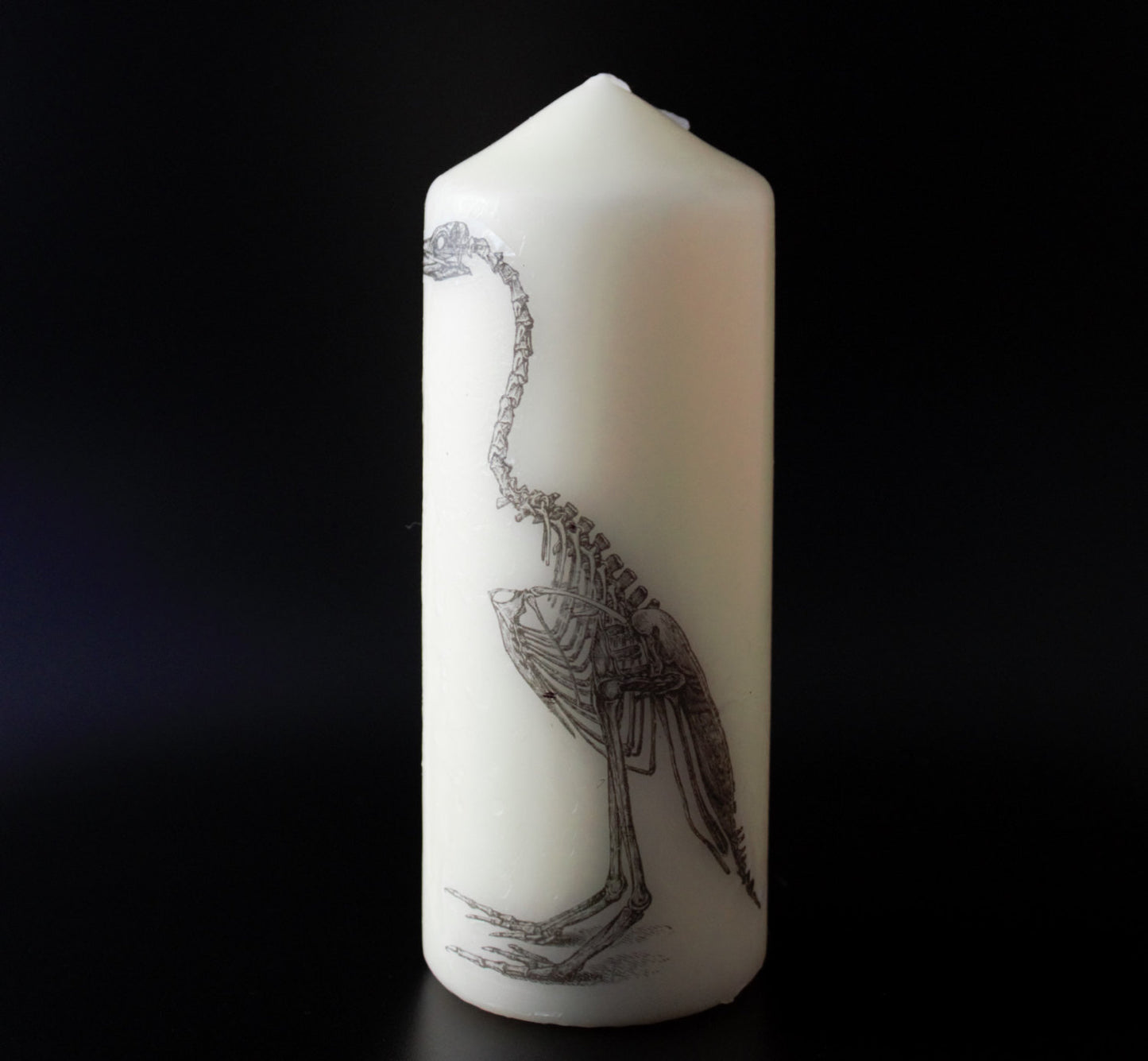 Anatomical Bird Skeleton  - Pillar Candle - Anatomical Decor - ByCandlelight27