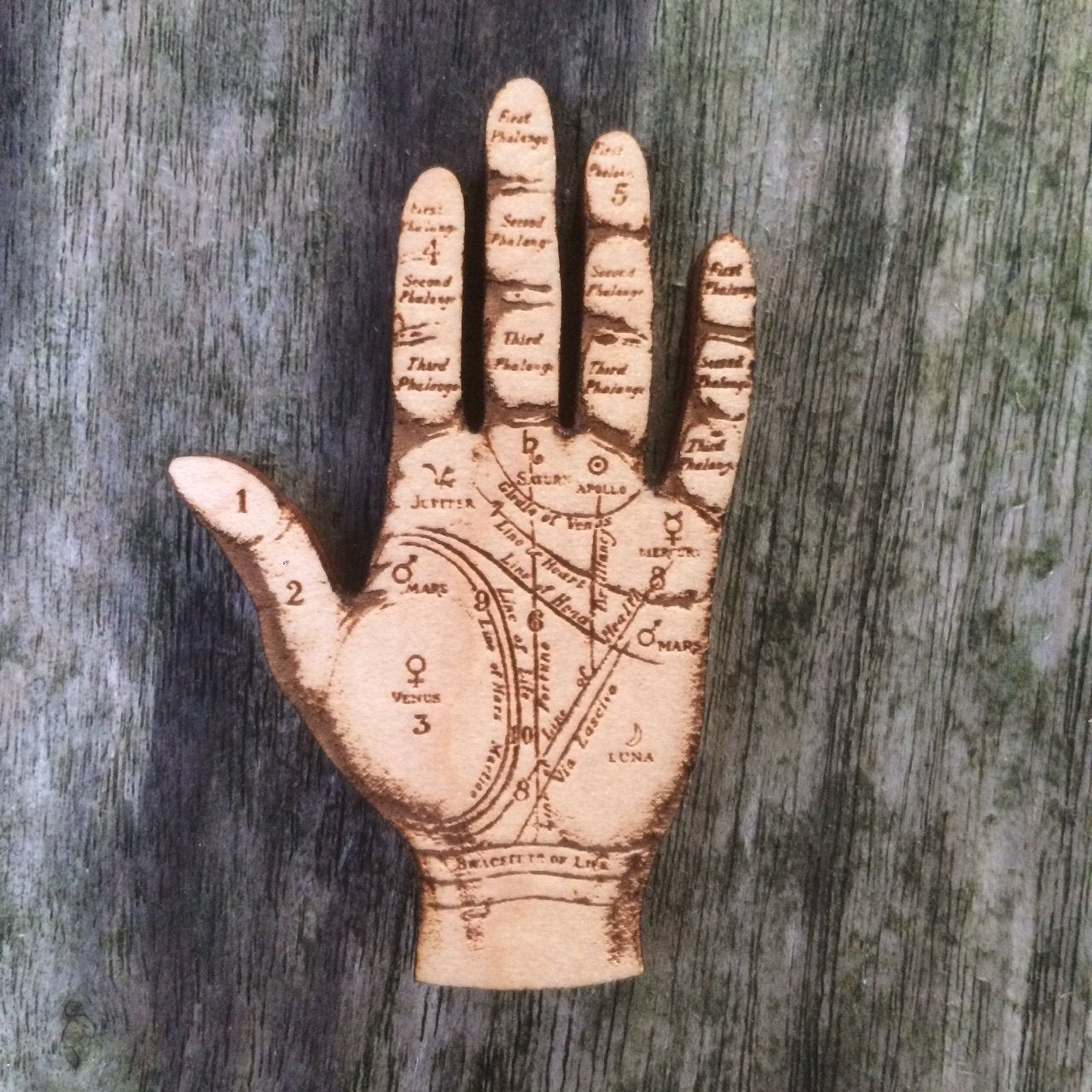 Palmistry Hand - Anatomical Jewellery - Wooden Brooch - ByCandlelight27