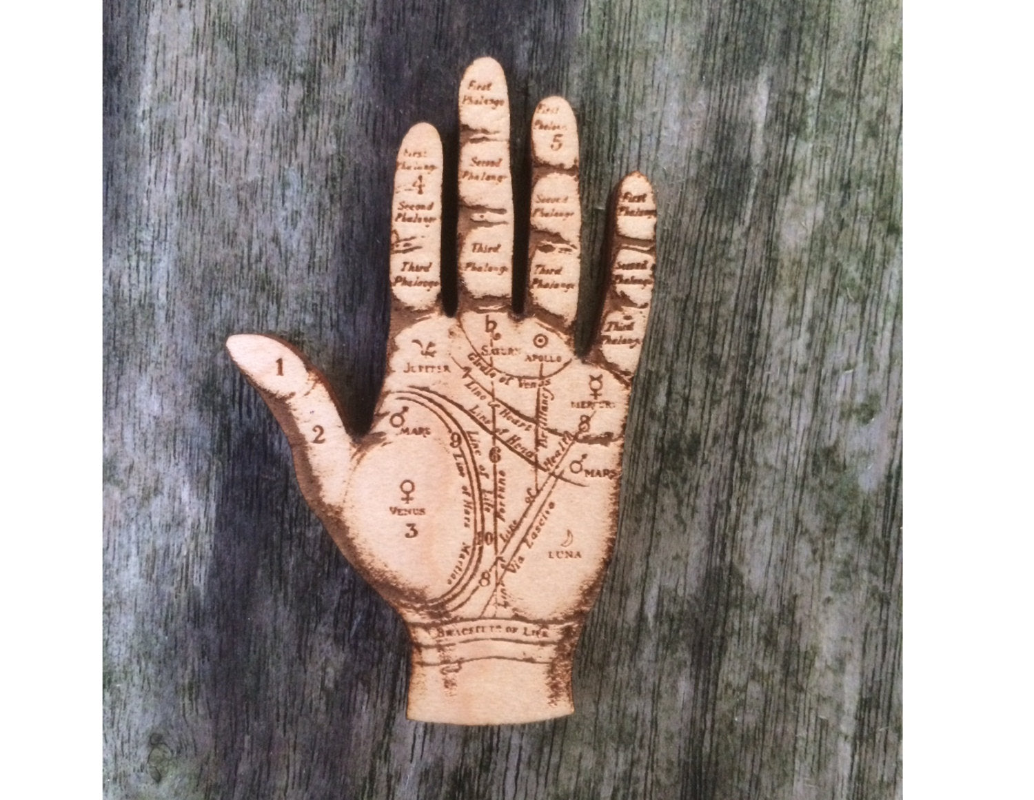 Palmistry Hand - Anatomical Jewellery - Wooden Brooch - ByCandlelight27