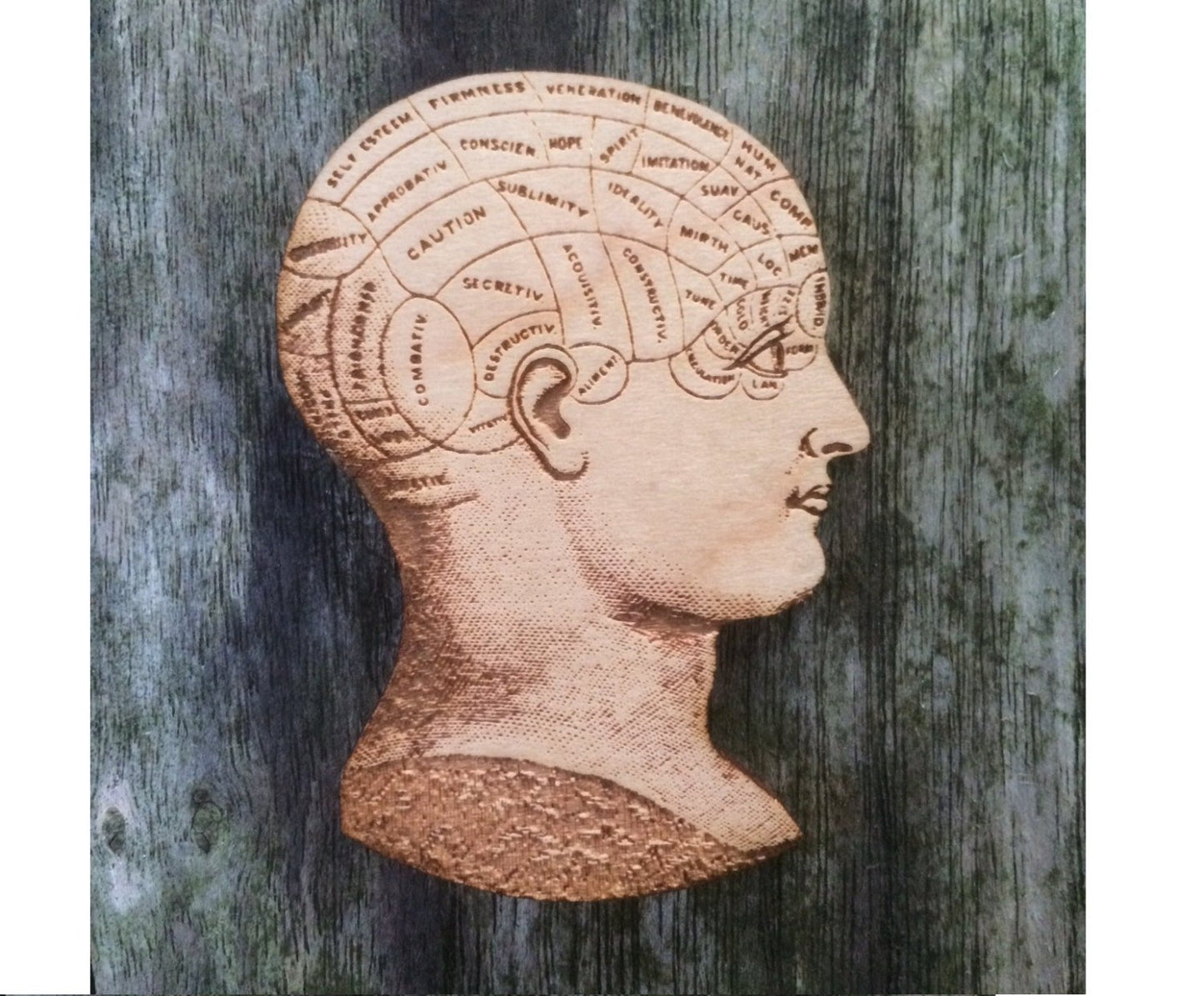 Phrenology Head - Anatomical Jewellery - Wooden Brooch - ByCandlelight27